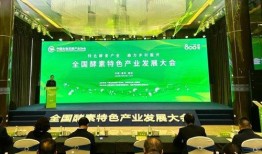 重庆酉阳新闻联播爆料,揭秘酉阳最新动态与重大事件