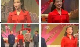 娱乐圈爆料客春晚,揭秘明星幕后故事，笑料与感动并存